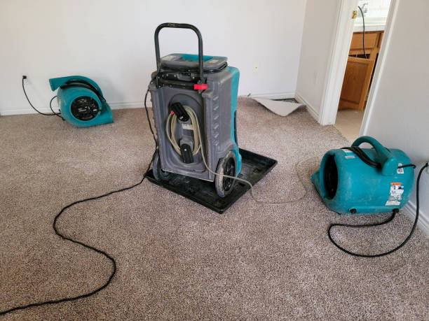 Best Fire Damage Restoration  in Mitchell, NE