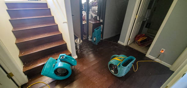  Mitchell, NE Water damage restoration Pros