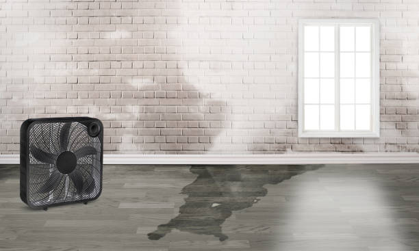 Professional Water damage restoration in NE