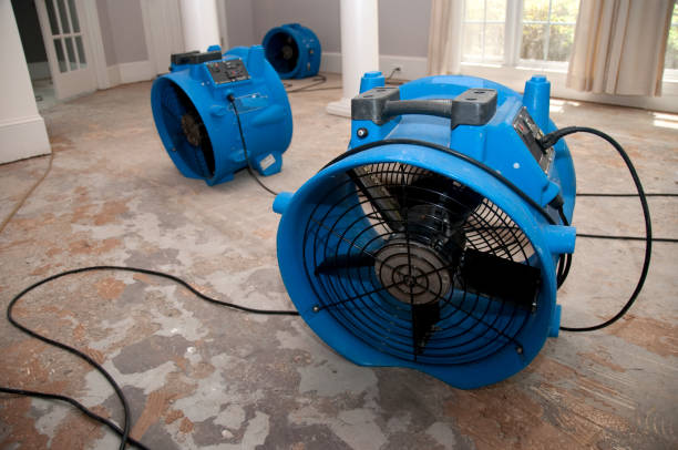 24/7 water damage repair in NE