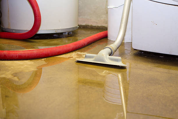 Best Carpet water damage restoration  in Mitchell, NE