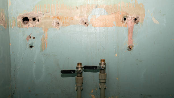 Best Flooded house restoration  in Mitchell, NE