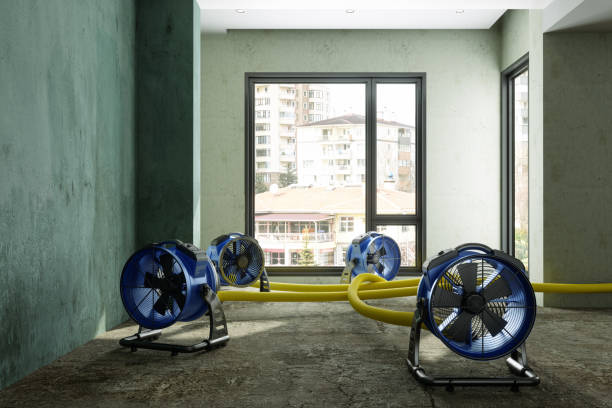 Best Carpet water damage restoration  in Mitchell, NE