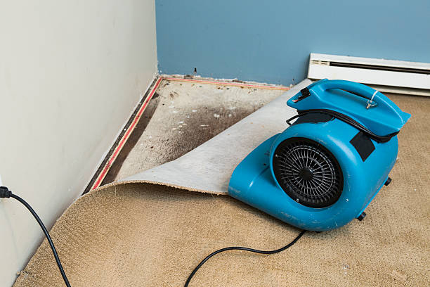 Best Flood restoration services  in Mitchell, NE